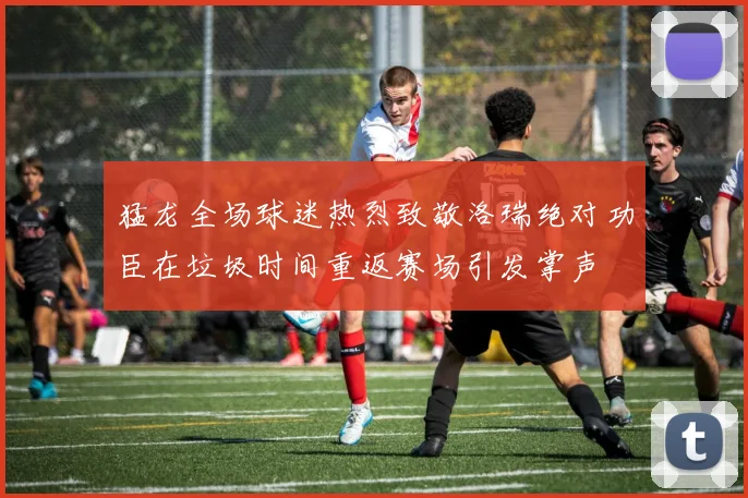 猛龙全场球迷热烈致敬洛瑞绝对功臣在垃圾时间重返赛场引发掌声